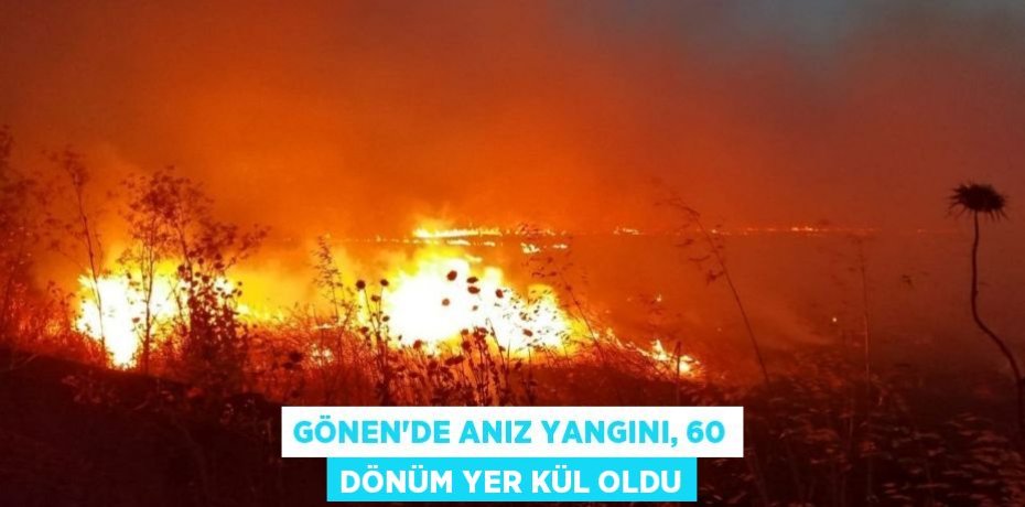 Gönen'de anız yangını, 60 dönüm yer kül oldu