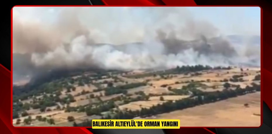 Balıkesir Altıeylül'de orman yangını  