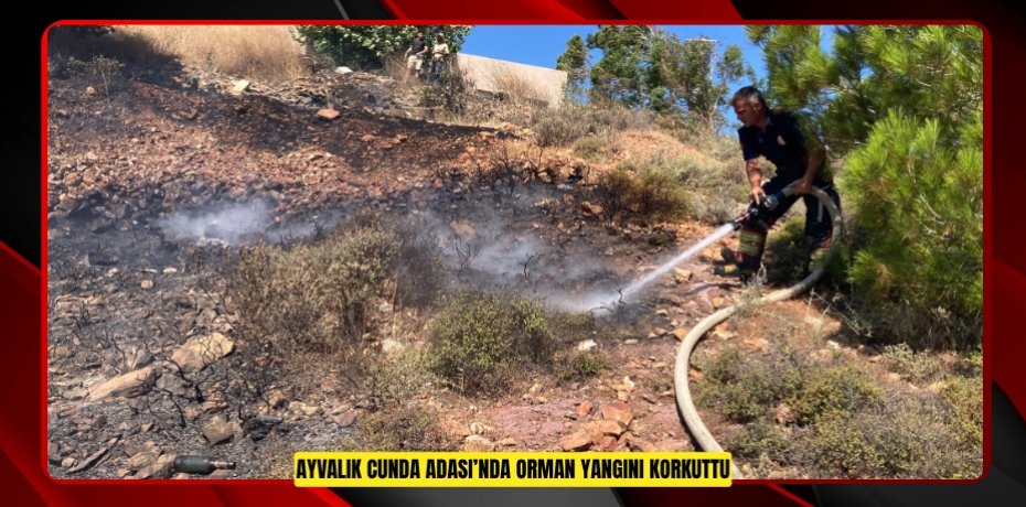 AYVALIK CUNDA ADASI’NDA ORMAN YANGINI KORKUTTU