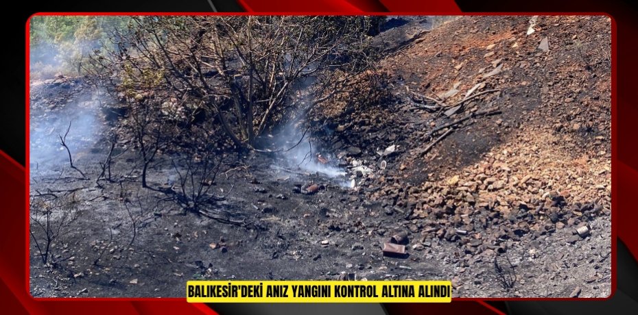 Balıkesir'deki anız yangını kontrol altına alındı  