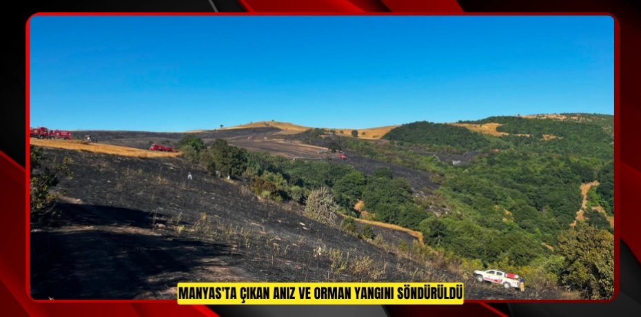Manyas'ta çıkan anız ve orman yangını söndürüldü  