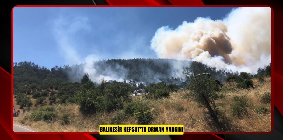 Balıkesir Kepsut'ta orman yangını  