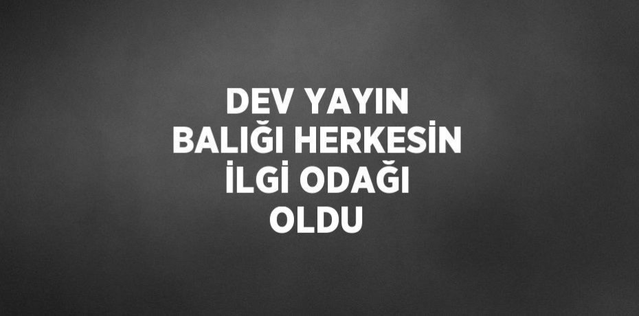 DEV YAYIN BALIĞI HERKESİN İLGİ ODAĞI OLDU