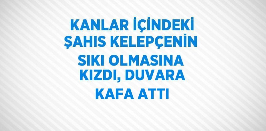 KANLAR İÇİNDEKİ ŞAHIS KELEPÇENİN SIKI OLMASINA KIZDI, DUVARA KAFA ATTI