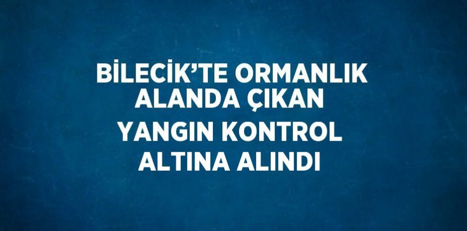 BİLECİK’TE ORMANLIK ALANDA ÇIKAN YANGIN KONTROL ALTINA ALINDI