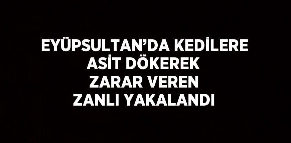 EYÜPSULTAN’DA KEDİLERE ASİT DÖKEREK ZARAR VEREN ZANLI YAKALANDI