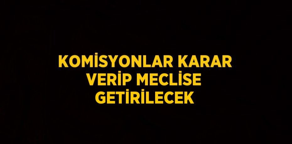 KOMİSYONLAR KARAR VERİP MECLİSE GETİRİLECEK