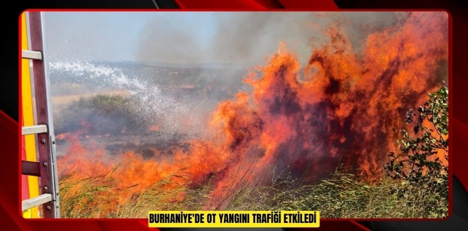 Burhaniye'de ot yangını trafiği etkiledi  