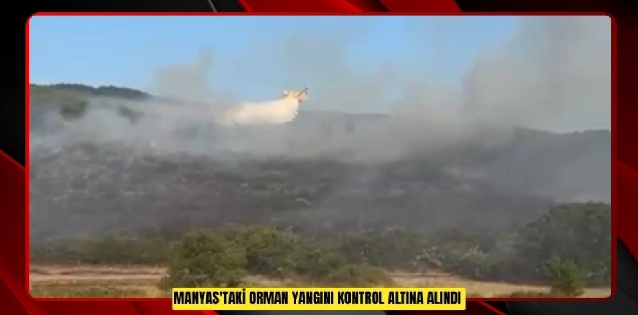 Manyas'taki orman yangını kontrol altına alındı  