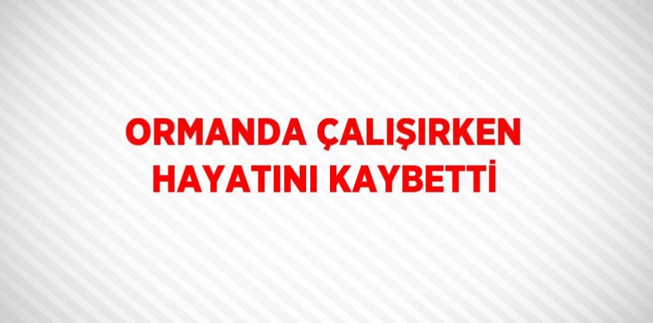 ORMANDA ÇALIŞIRKEN HAYATINI KAYBETTİ