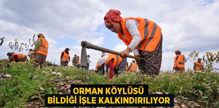 Orman köylüsü bildiği işle kalkındırılıyor