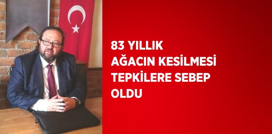 83 YILLIK AĞACIN KESİLMESİ TEPKİLERE SEBEP OLDU
