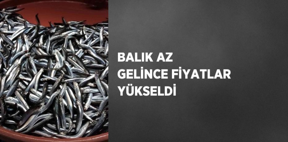 BALIK AZ GELİNCE FİYATLAR YÜKSELDİ