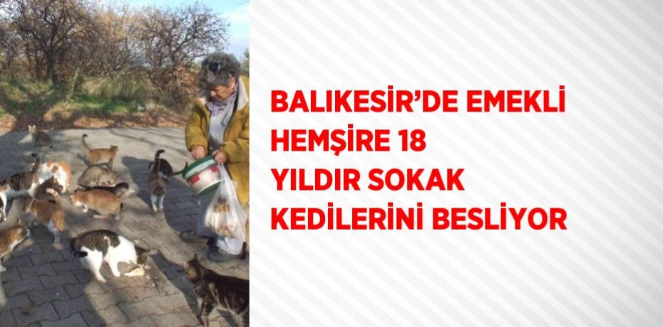 BALIKESİR’DE EMEKLİ HEMŞİRE 18 YILDIR SOKAK KEDİLERİNİ BESLİYOR