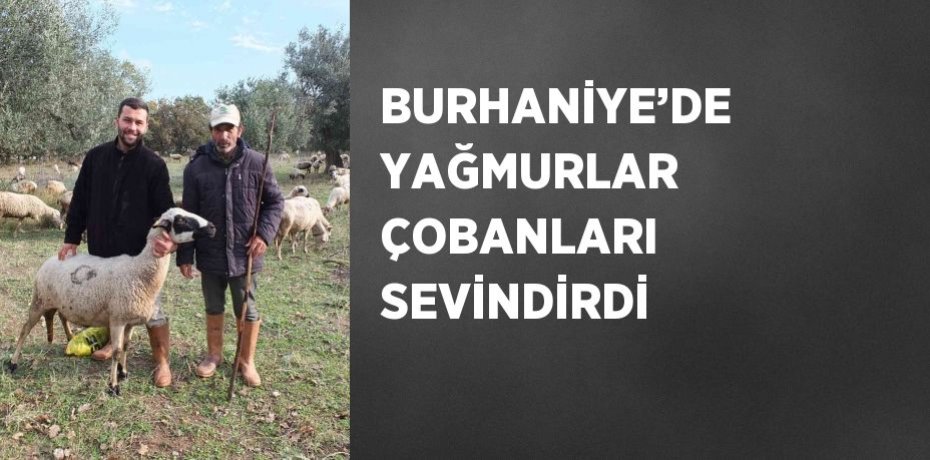 BURHANİYE’DE YAĞMURLAR ÇOBANLARI SEVİNDİRDİ