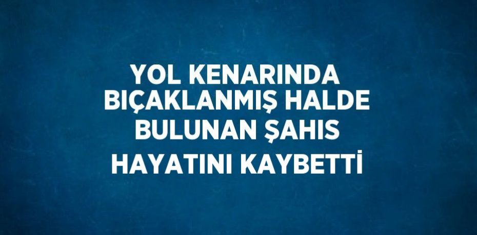 YOL KENARINDA BIÇAKLANMIŞ HALDE BULUNAN ŞAHIS HAYATINI KAYBETTİ