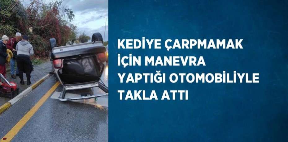 KEDİYE ÇARPMAMAK İÇİN MANEVRA YAPTIĞI OTOMOBİLİYLE TAKLA ATTI