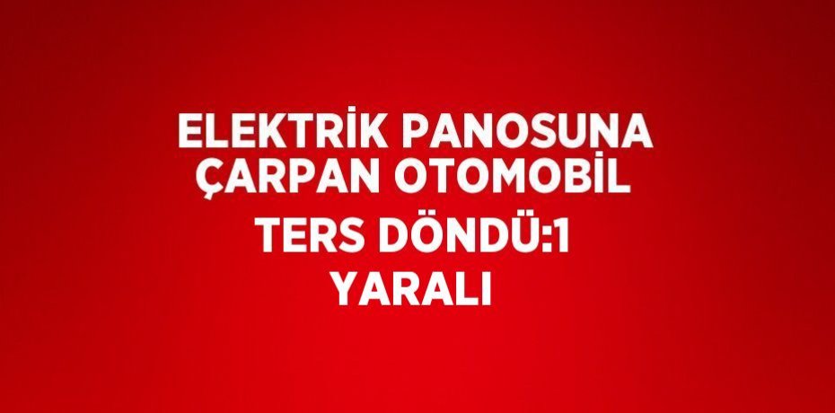 ELEKTRİK PANOSUNA ÇARPAN OTOMOBİL TERS DÖNDÜ:1 YARALI