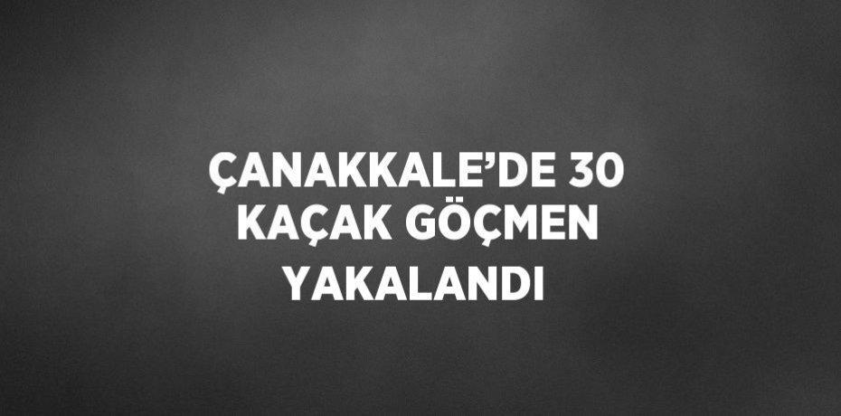 ÇANAKKALE’DE 30 KAÇAK GÖÇMEN YAKALANDI