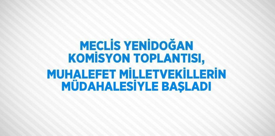MECLİS YENİDOĞAN KOMİSYON TOPLANTISI, MUHALEFET MİLLETVEKİLLERİN MÜDAHALESİYLE BAŞLADI