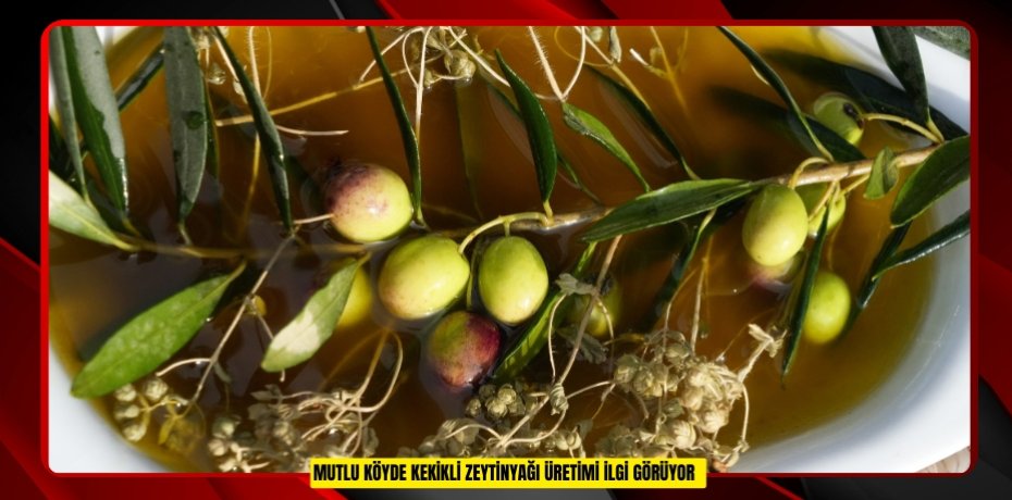 Mutlu köyde kekikli zeytinyağı üretimi ilgi görüyor  