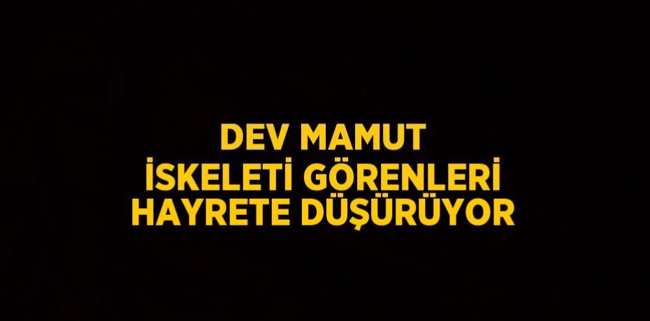 DEV MAMUT İSKELETİ GÖRENLERİ HAYRETE DÜŞÜRÜYOR
