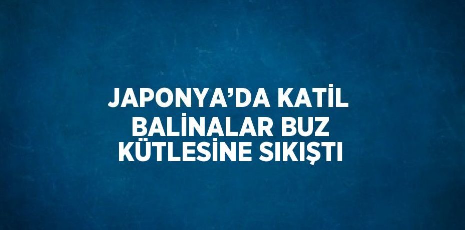 JAPONYA’DA KATİL BALİNALAR BUZ KÜTLESİNE SIKIŞTI