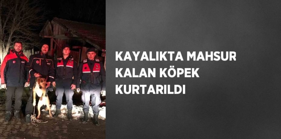 KAYALIKTA MAHSUR KALAN KÖPEK KURTARILDI