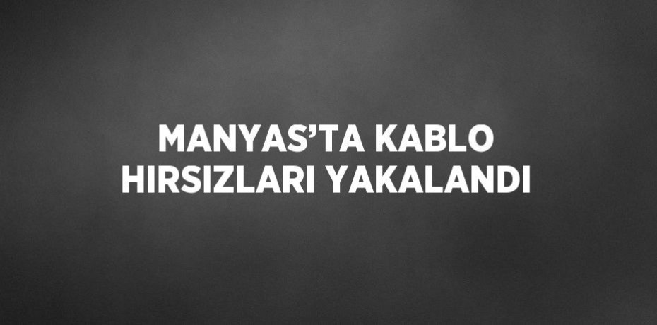 MANYAS’TA KABLO HIRSIZLARI YAKALANDI