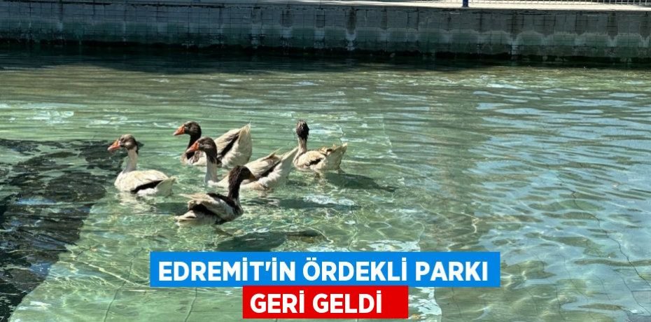 Edremit’in ördekli parkı geri geldi  