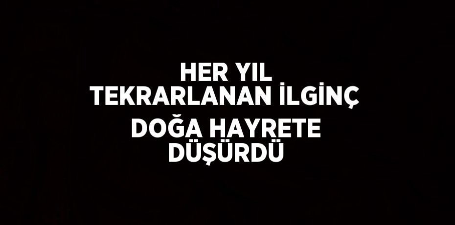 HER YIL TEKRARLANAN İLGİNÇ DOĞA HAYRETE DÜŞÜRDÜ