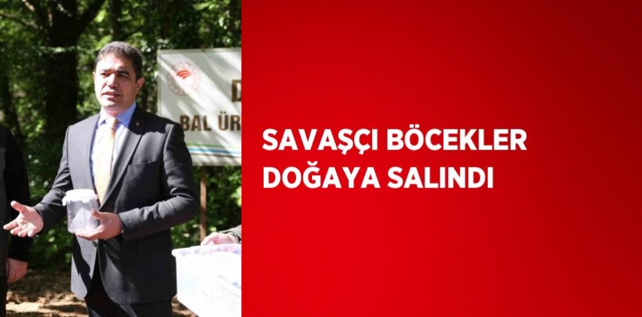 SAVAŞÇI BÖCEKLER DOĞAYA SALINDI