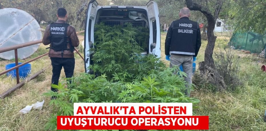 Ayvalık’ta polisten uyuşturucu operasyonu  