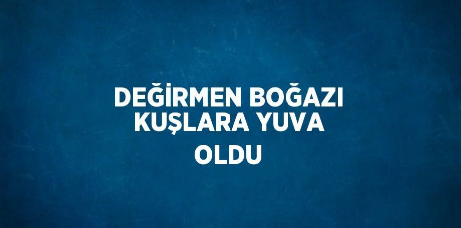 DEĞİRMEN BOĞAZI KUŞLARA YUVA OLDU
