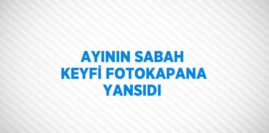 AYININ SABAH KEYFİ FOTOKAPANA YANSIDI
