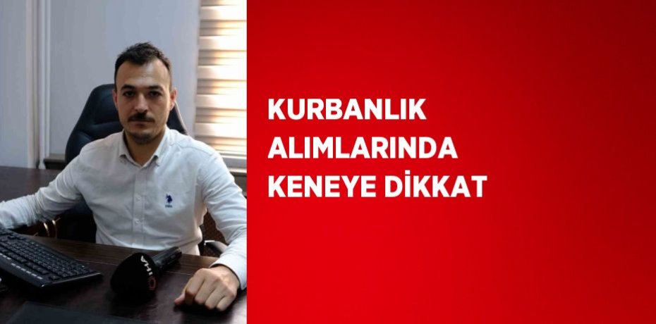KURBANLIK ALIMLARINDA KENEYE DİKKAT