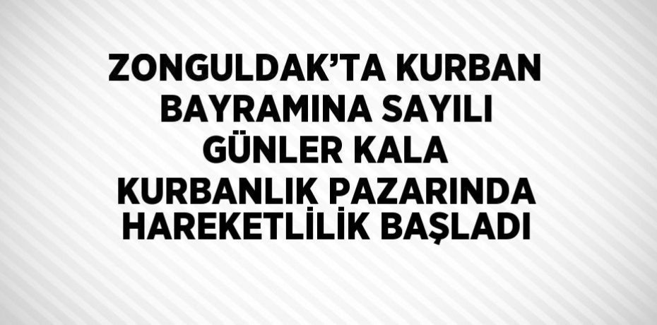 ZONGULDAK’TA KURBAN BAYRAMINA SAYILI GÜNLER KALA KURBANLIK PAZARINDA HAREKETLİLİK BAŞLADI