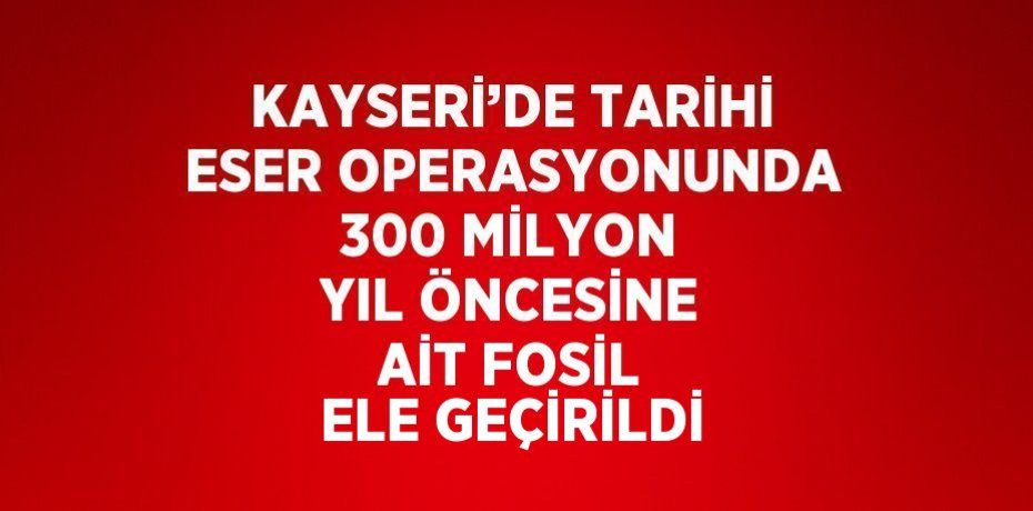 KAYSERİ’DE TARİHİ ESER OPERASYONUNDA 300 MİLYON YIL ÖNCESİNE AİT FOSİL ELE GEÇİRİLDİ