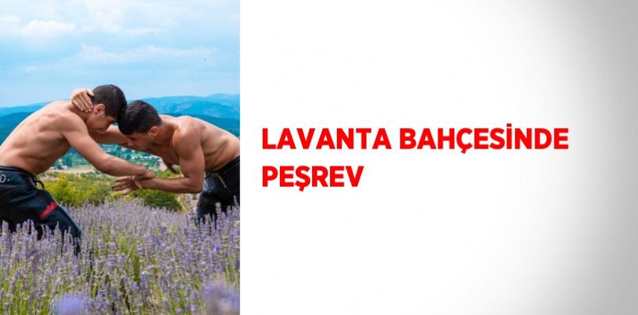 LAVANTA BAHÇESİNDE PEŞREV