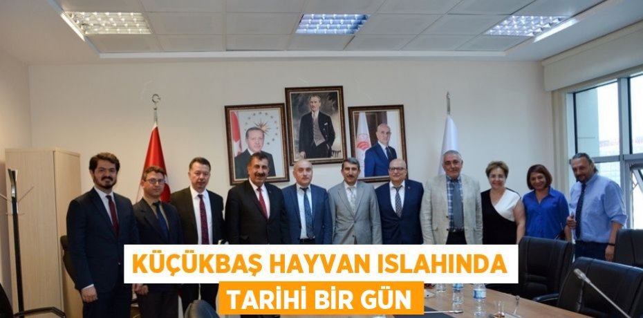KÜÇÜKBAŞ HAYVAN ISLAHINDA TARİHİ BİR GÜN