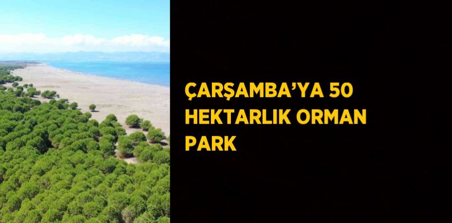 ÇARŞAMBA’YA 50 HEKTARLIK ORMAN PARK