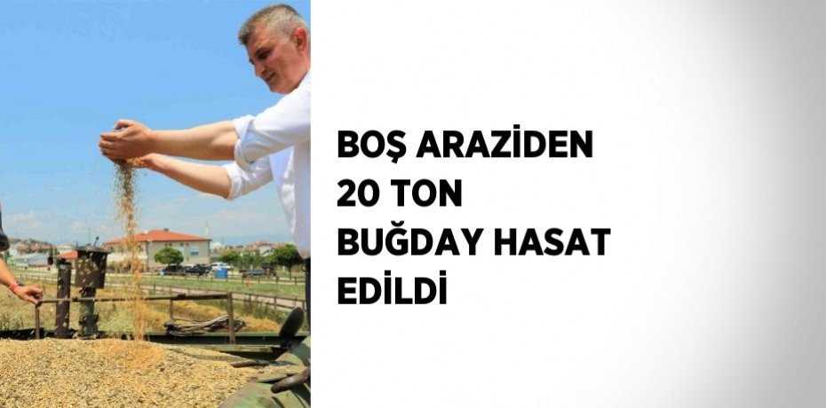 BOŞ ARAZİDEN 20 TON BUĞDAY HASAT EDİLDİ