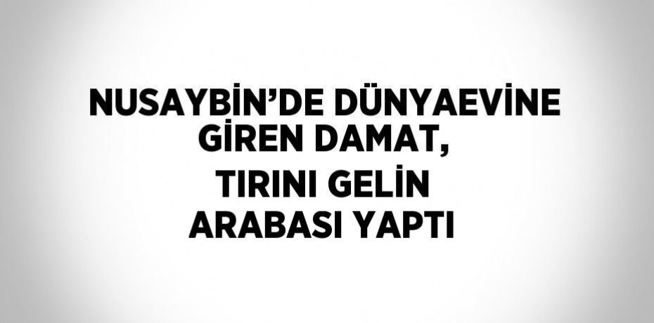 NUSAYBİN’DE DÜNYAEVİNE GİREN DAMAT, TIRINI GELİN ARABASI YAPTI