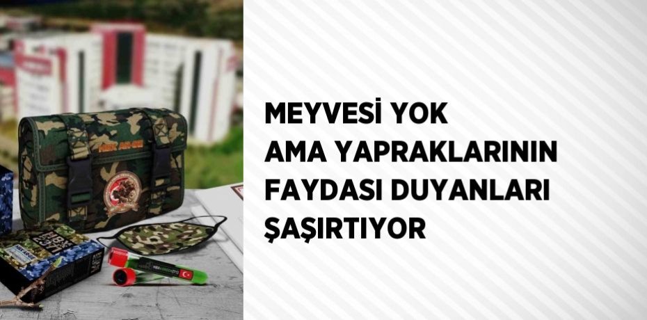 MEYVESİ YOK AMA YAPRAKLARININ FAYDASI DUYANLARI ŞAŞIRTIYOR