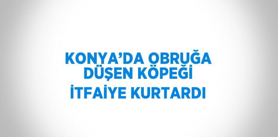 KONYA’DA OBRUĞA DÜŞEN KÖPEĞİ İTFAİYE KURTARDI