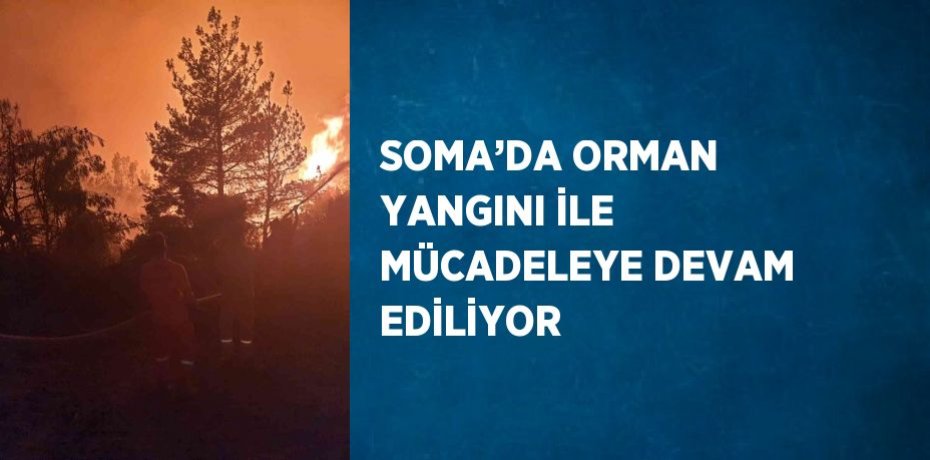 SOMA’DA ORMAN YANGINI İLE MÜCADELEYE DEVAM EDİLİYOR