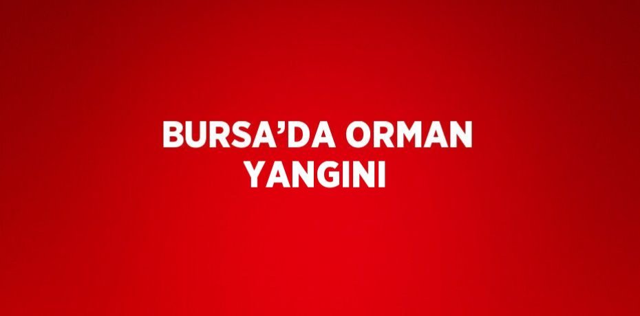 BURSA’DA ORMAN YANGINI