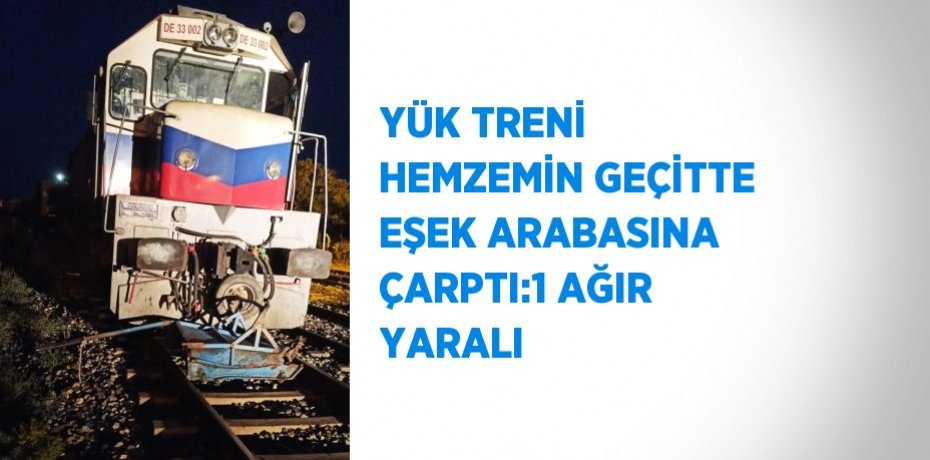 YÜK TRENİ HEMZEMİN GEÇİTTE EŞEK ARABASINA ÇARPTI:1 AĞIR YARALI