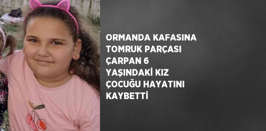 ORMANDA KAFASINA TOMRUK PARÇASI ÇARPAN 6 YAŞINDAKİ KIZ ÇOCUĞU HAYATINI KAYBETTİ
