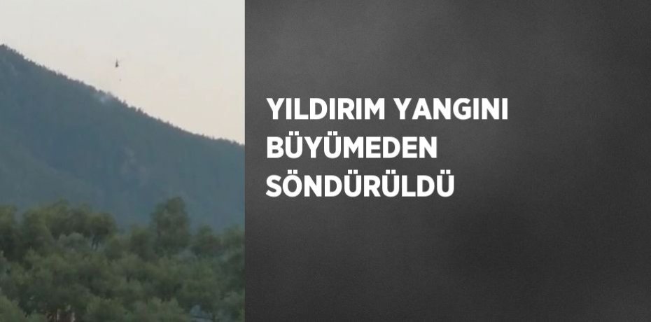 YILDIRIM YANGINI BÜYÜMEDEN SÖNDÜRÜLDÜ